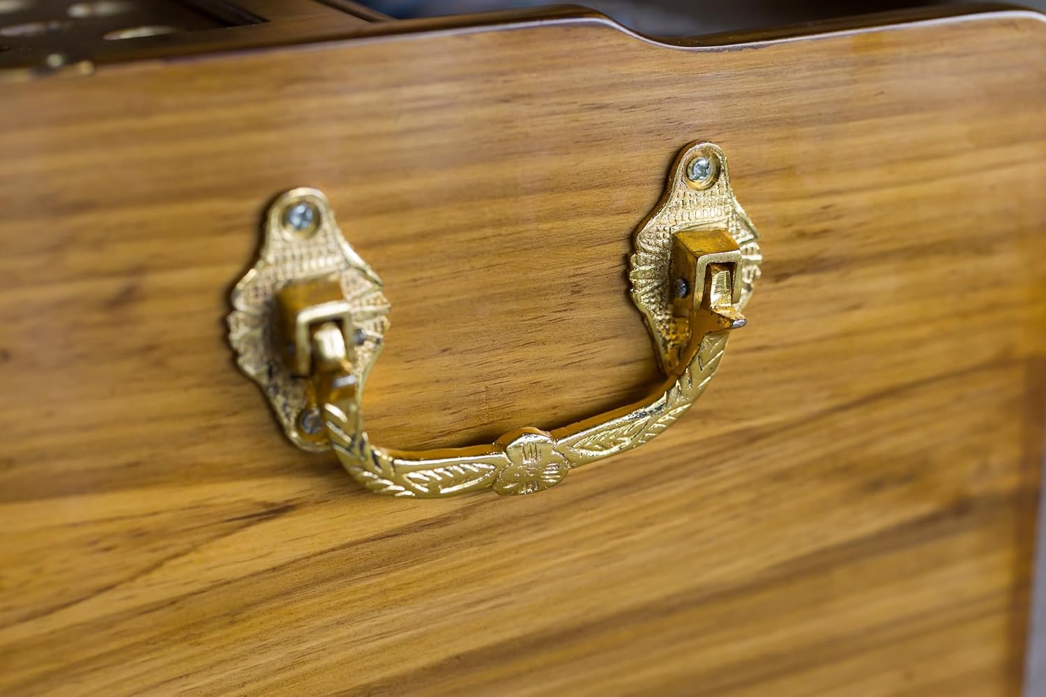 Premium Portable Travel Concert Harmonium, Maharaja Musicals, Small, 2 .5 Octaves Saptak, Multi-Fold Bellow, 18x12x10 Inch, Golden Handle & Aces, Bag, Kirtan Yoga Companion, Handmade - PH3