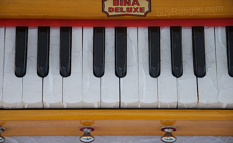 BINA 23B Deluxe, Harmonium, 2 1/2 Octaves, 32 Keys, Small, Portable, Compact, Special Reeds, Safri, Natural Color, Bag, Kirtan, Musical Instrument Indian (PDI- DAA) Brand: BINA